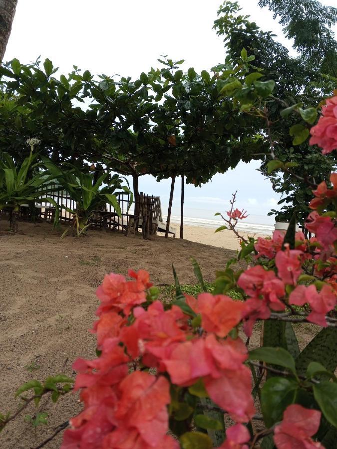 Akoya Beach Park And Cottages Locaroc Exterior photo